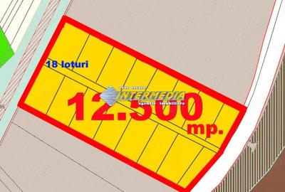 Teren de 12500 mp, în Central