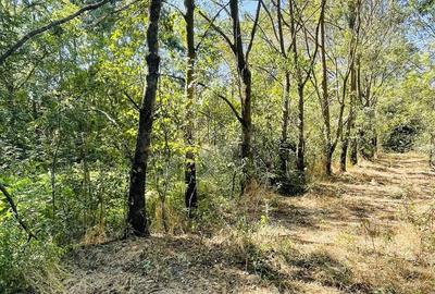 Teren de 5000 mp, în Valea Părului - 6