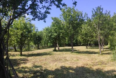 Casă cu 4 camere cu Teren 2500 Mp în Moțăieni - 2