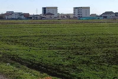 Teren de 300 mp, în Berceni - 7