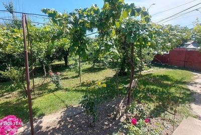 Casă cu Teren 2500 Mp în Șerbănești - 2