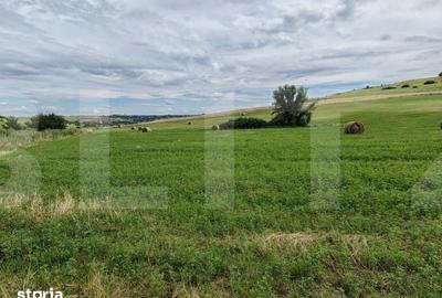 Teren de 22000 mp, în Central