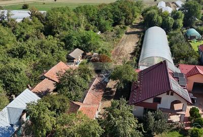 Teren Construcții intravilan de 3537 mp, în Olari