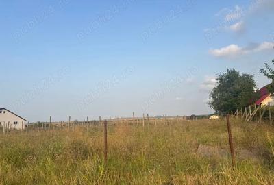 Teren de 5000 mp, în Mineri - 3