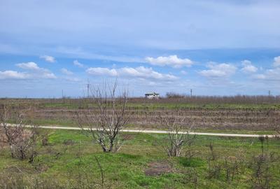 Teren agricol intravilan de 40000 mp, în Prundu - 4