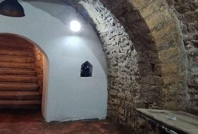 Spațiu comercial, de 45 mp, în Gară - 9