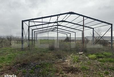 Teren de 2600 mp, în Beriu - 4