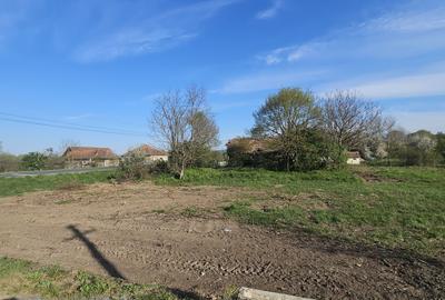 Teren de 8780 mp, în Vărădia de Mureș - 1