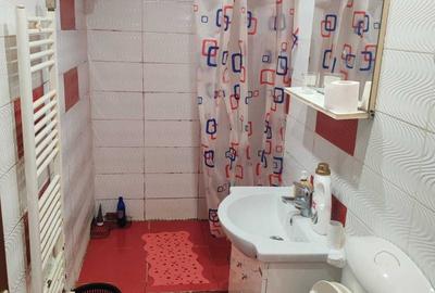 Apartament cu 2 camere semidecomandat în Sud-Est - 4