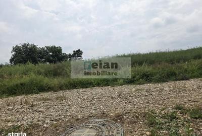 Spațiu comercial, în Ciolpani - 4
