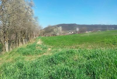 Teren de 3300 mp, în Râciu - 1