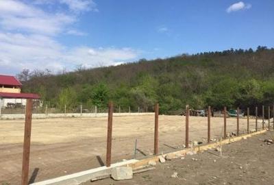 Teren de 800 mp, în Alexandru cel Bun - 3
