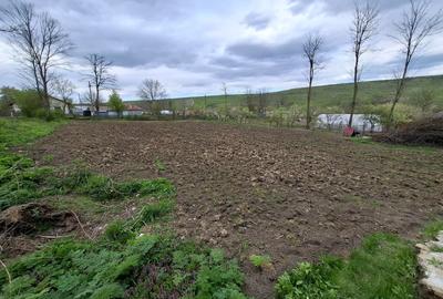 Casă cu 2 camere în Mateieni - 4