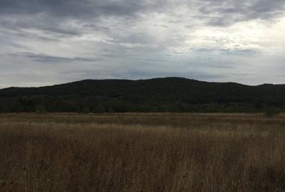 Teren agricol extravilan de 2250 mp, în Budești - 6