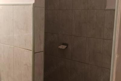 Apartament cu 2 camere decomandat în Șagului
