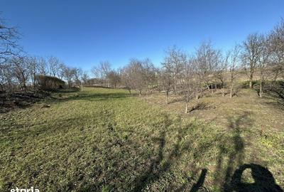 Teren de 960 mp, în Păulești - 4