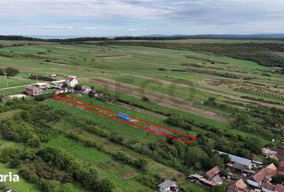 Teren de 2000 mp, în Betfia