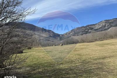 Teren de 1271 mp, în Livezile - 13