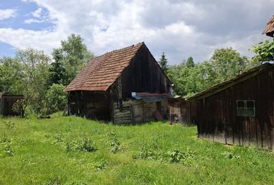 Casă cu 2 camere în Arpașu de Sus - 4