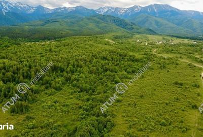 Teren de 2000 mp, în Porumbacu de Jos - 5