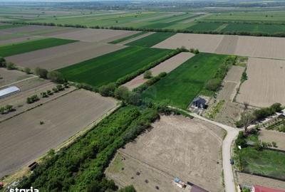 Teren de 1660 mp, în Vânători