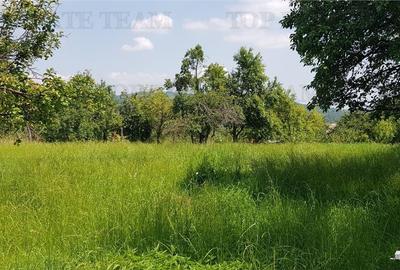 Teren Construcții intravilan de 2957 mp, în Central - 4
