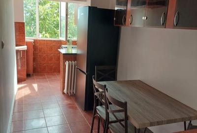 Garsonieră în Sânmartin - 8
