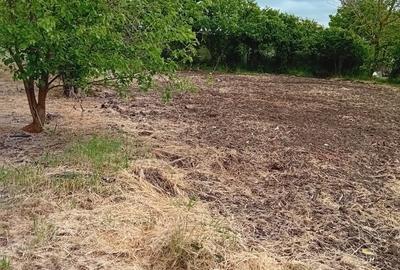 Casă cu 3 camere în Sălcioara - 4