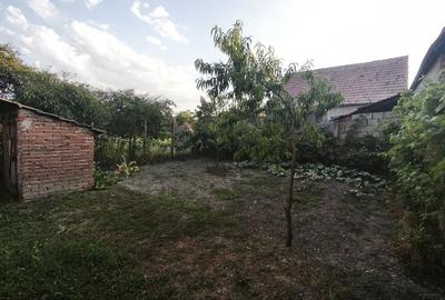 Casă cu 4 camere în Pianu
