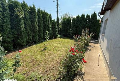 Casă cu 4 camere cu Teren 1000 Mp în Mihai Eminescu - 4