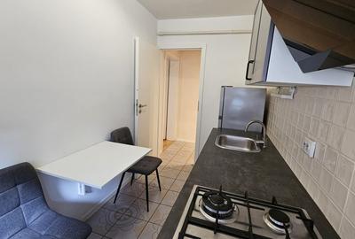 Apartament cu 2 camere, mobilat în Berceni - 11