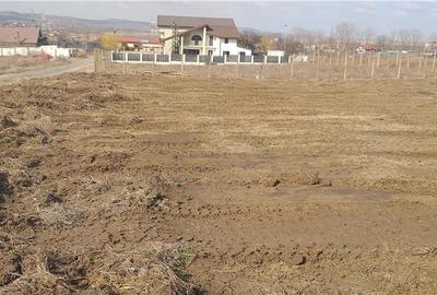 Teren de 1200 mp, în Vest - 1
