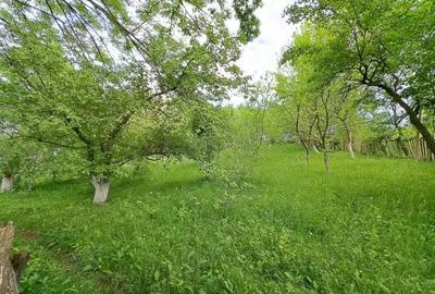Teren de 1000 mp, în Ghioșești - 2