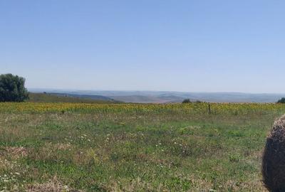 Teren de 2519 mp, în Aiton