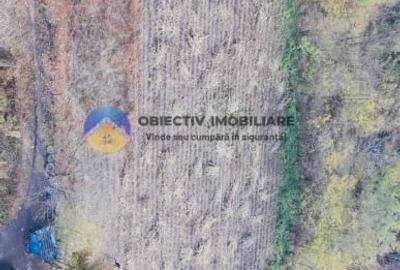 Teren Construcții intravilan de 11766 mp, în Costișa - 1