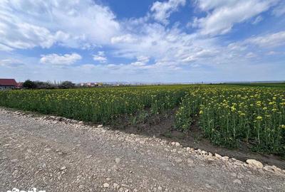 Teren de 3700 mp, în Călărași - 7