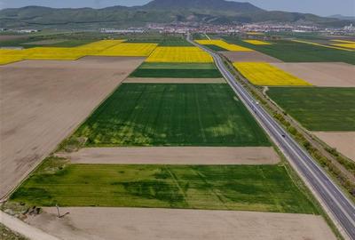 Teren agricol intravilan de 47.576999664307 mp, în Exterior Est - 16