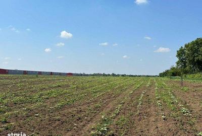 Teren de 7500 mp, în Găneasa - 8