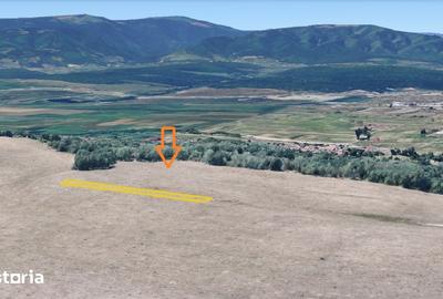 Teren de 1300 mp, în Central