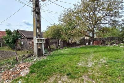 Casă individuală cu 2 camere cu Teren 1100 Mp în Central - 11