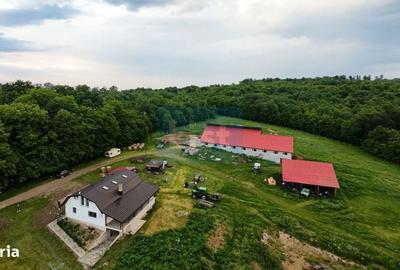 Casă cu 4 camere în Bălăceana