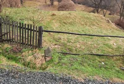 Teren în Băiuț - 3