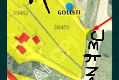 Teren de 2576 mp, în Golești - 6