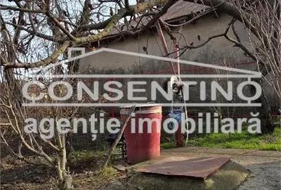 Casă cu 3 camere cu Teren 1439 Mp în Movila Banului - 4