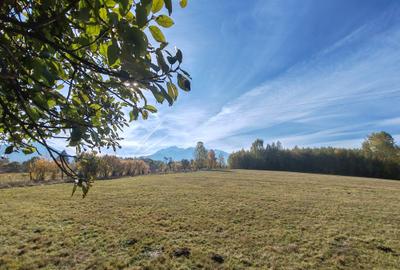 Teren agricol extravilan de 5800 mp, în Sohodol - 6