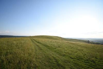 Teren agricol extravilan de 5800 mp, în Chinteni - 4