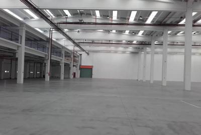 Spațiu industrial, în Est - 4