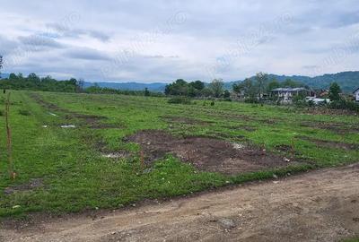 Teren de 7500 mp, în Voila - 2