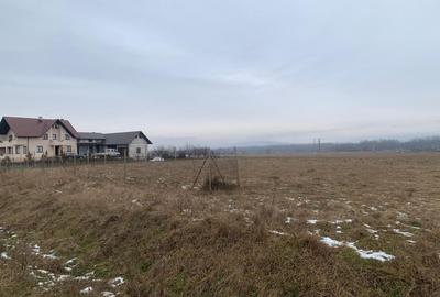 Teren Construcții intravilan de 2000 mp, în Părhăuți - 6