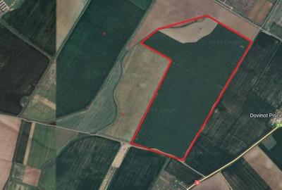 Teren agricol extravilan de 343000 mp, în Nord - 2